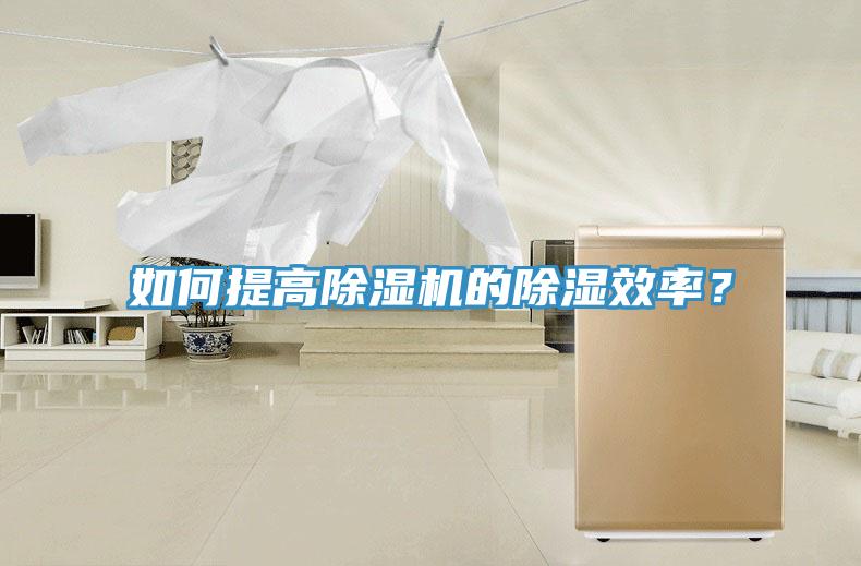 如何提高91免费网站在线观看的除湿效率？