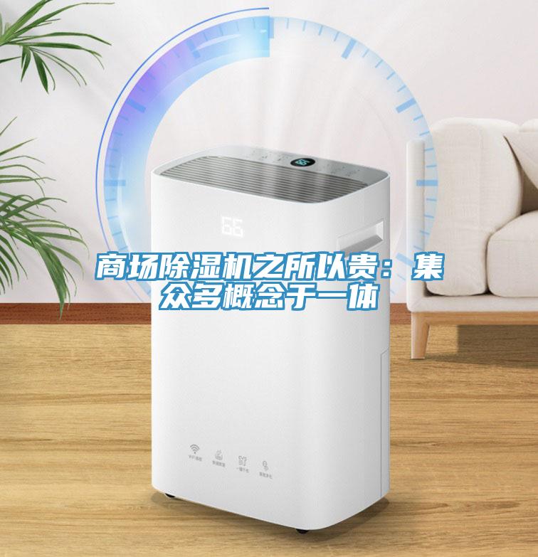 商场91免费网站在线观看之所以贵：集众多概念于一体