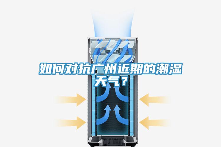 如何对抗广州近期的潮湿天气？