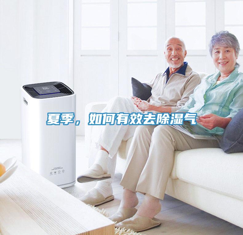 夏季，如何有效去除湿气