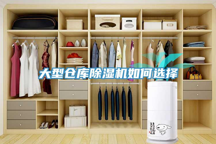 大型仓库91免费网站在线观看如何选择