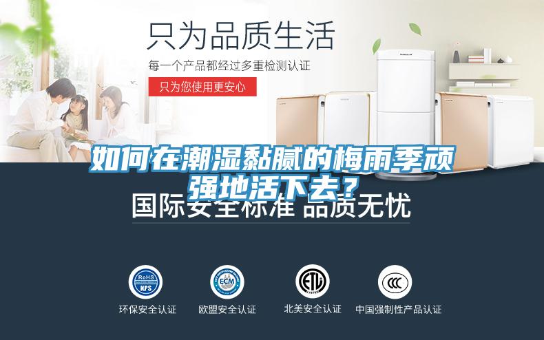 如何在潮湿黏腻的梅雨季顽强地活下去？