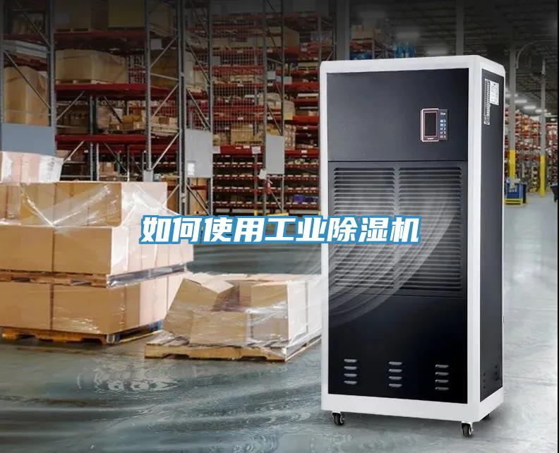 如何使用工业91免费网站在线观看