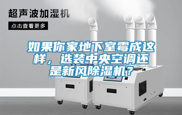 如果你家地下室霉成这样，选装中央空调还是新风91免费网站在线观看？