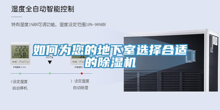如何为您的地下室选择合适的91免费网站在线观看