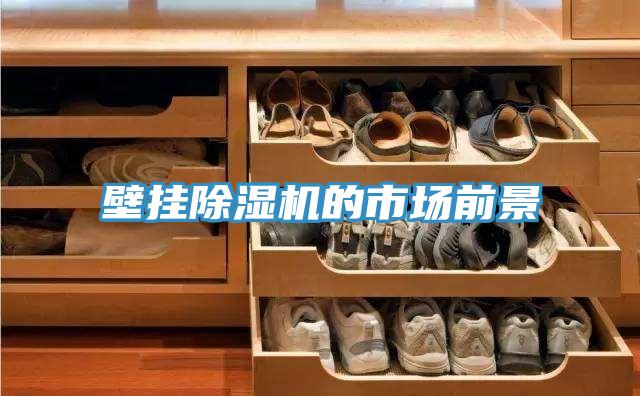 壁挂91免费网站在线观看的市场前景