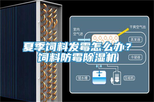 夏季饲料发霉怎么办？饲料防霉91免费网站在线观看