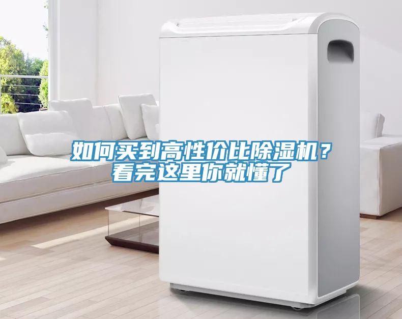 如何买到高性价比91免费网站在线观看？看完这里你就懂了