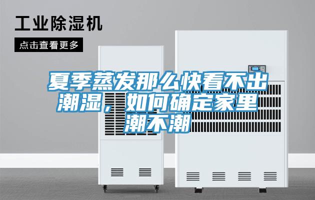 夏季蒸发那么快看不出潮湿，如何确定家里潮不潮