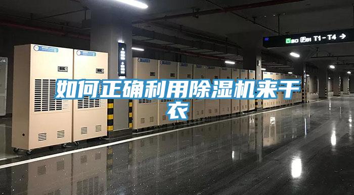 如何正确利用91免费网站在线观看来干衣