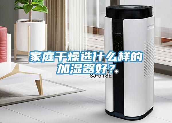 家庭干燥选什么样的加湿器好？
