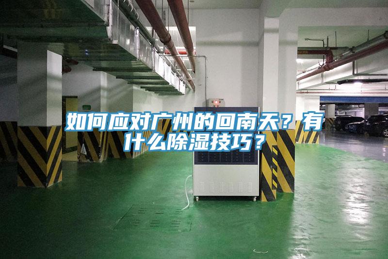 如何应对广州的回南天？有什么除湿技巧？