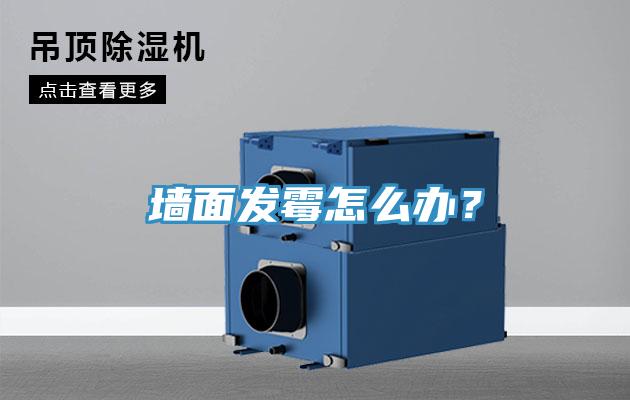 墙面发霉怎么办？