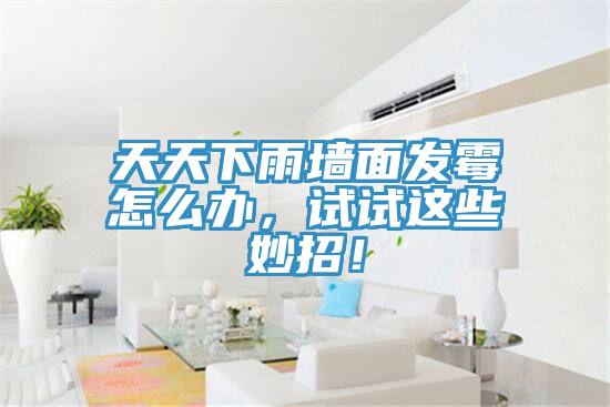 天天下雨墙面发霉怎么办，试试这些妙招！