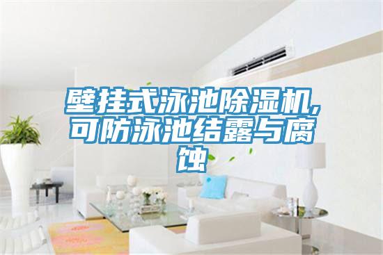 壁挂式泳池91免费网站在线观看,可防泳池结露与腐蚀