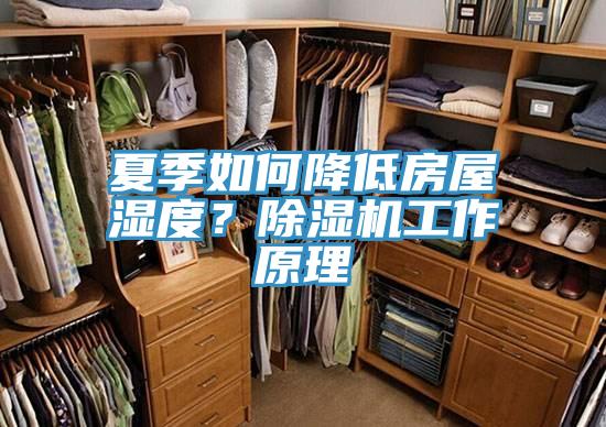 夏季如何降低房屋湿度？91免费网站在线观看工作原理