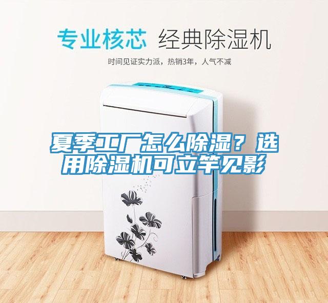 夏季工厂怎么除湿？选用91免费网站在线观看可立竿见影