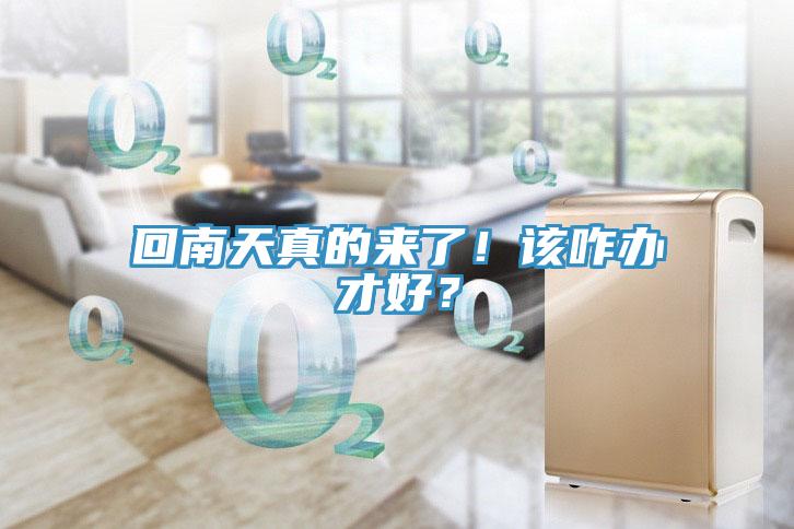 回南天真的来了！该咋办才好？