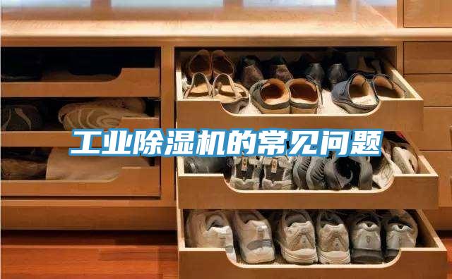 工业91免费网站在线观看的常见问题