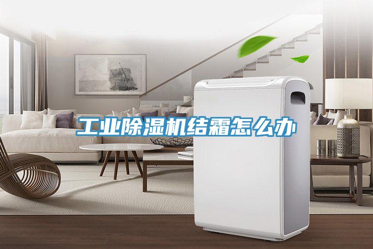 工业91免费网站在线观看结霜怎么办