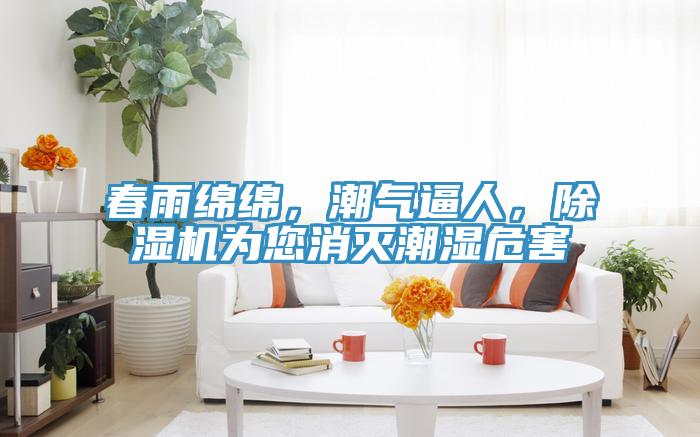 春雨绵绵，潮气逼人，91免费网站在线观看为您消灭潮湿危害