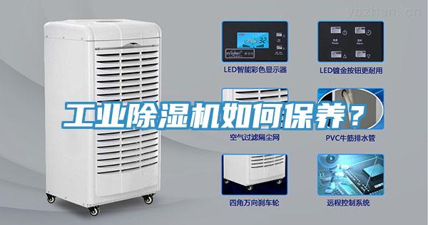 工业91免费网站在线观看如何保养？