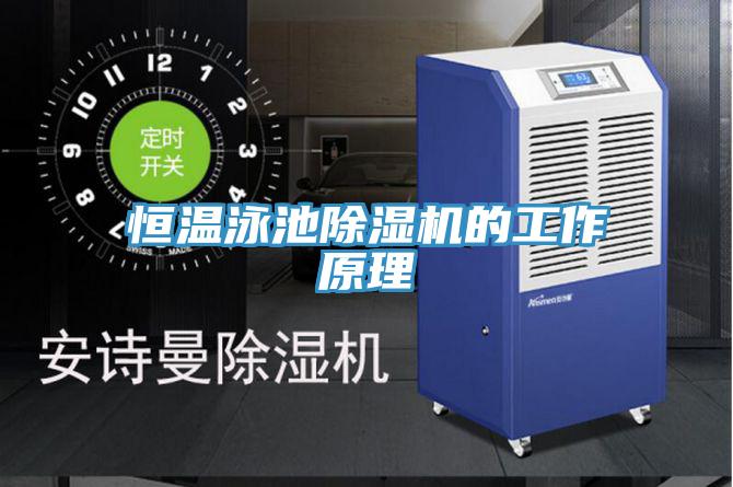 恒温泳池91免费网站在线观看的工作原理