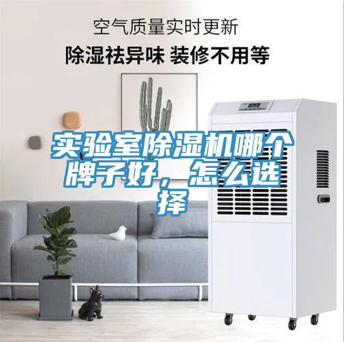 实验室91免费网站在线观看哪个牌子好，怎么选择