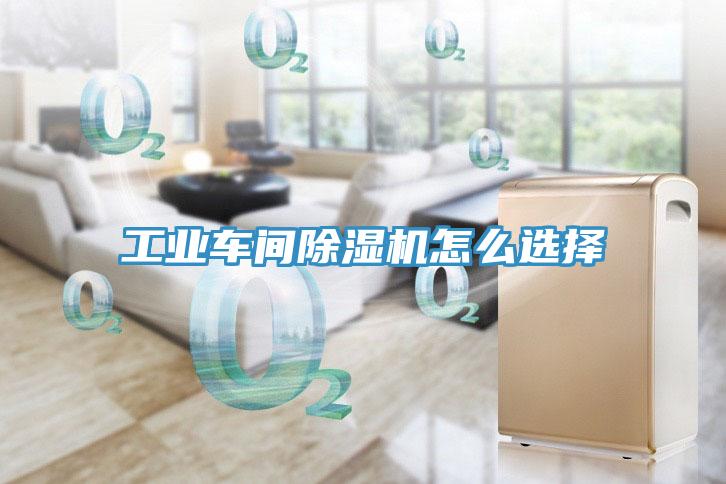 工业车间91免费网站在线观看怎么选择
