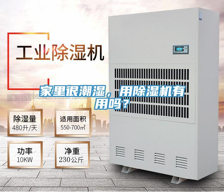家里很潮湿，用91免费网站在线观看有用吗？