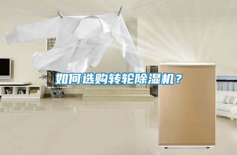 如何选购转轮91免费网站在线观看？