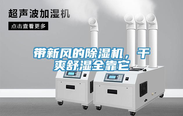 带新风的91免费网站在线观看，干爽舒湿全靠它