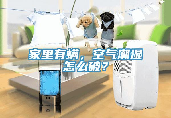 家里有螨，空气潮湿怎么破？