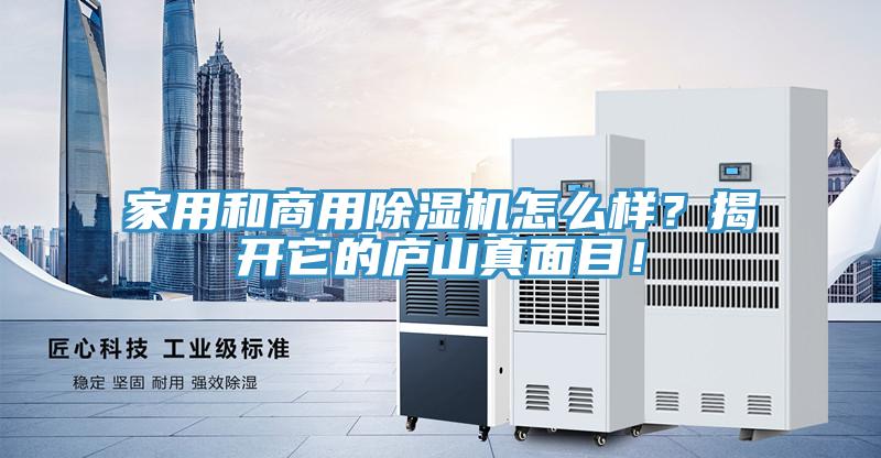 家用和商用91免费网站在线观看怎么样？揭开它的庐山真面目！