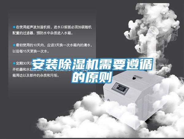 安装91免费网站在线观看需要遵循的原则