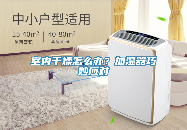 室内干燥怎么办？加湿器巧妙应对