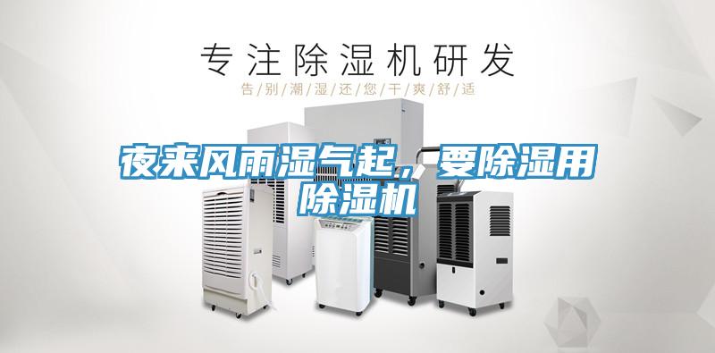 夜来风雨湿气起，要除湿用91免费网站在线观看