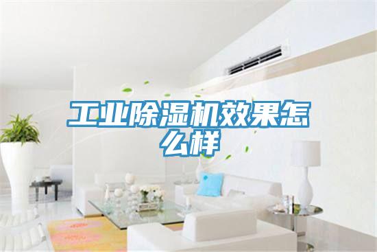 工业91免费网站在线观看效果怎么样
