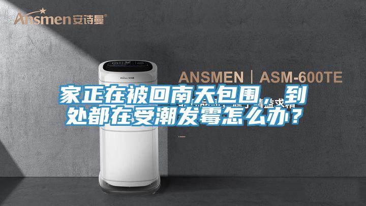 家正在被回南天包围，到处都在受潮发霉怎么办？