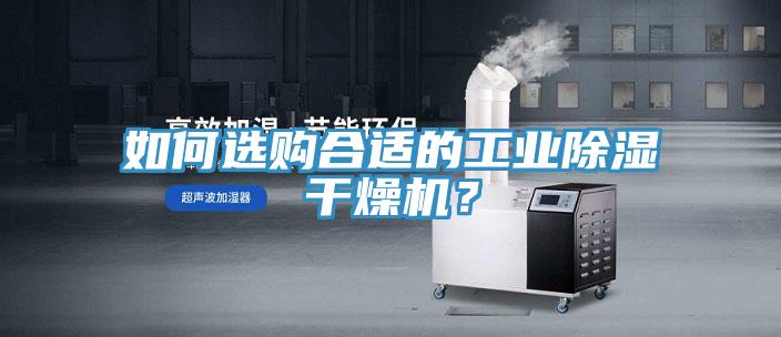 如何选购合适的工业除湿干燥机？