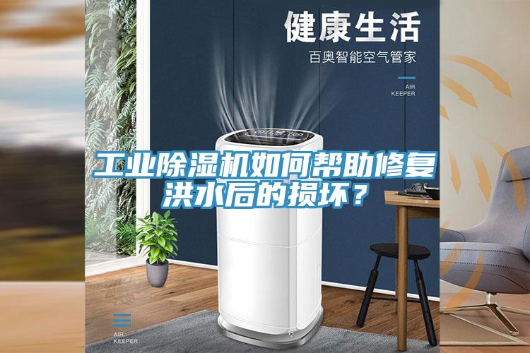 工业91免费网站在线观看如何帮助修复洪水后的损坏？