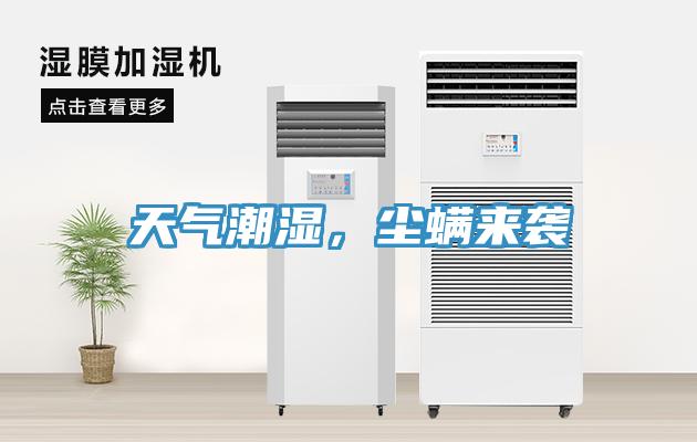 天气潮湿，尘螨来袭