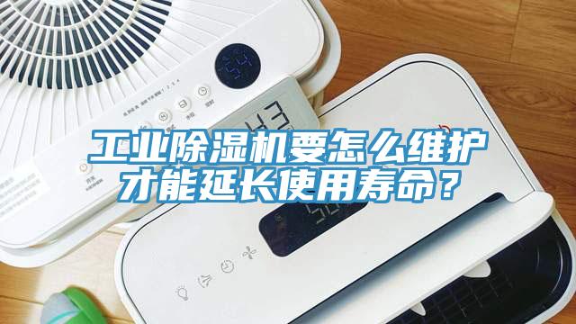 工业91免费网站在线观看要怎么维护才能延长使用寿命？