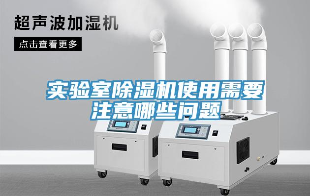 实验室91免费网站在线观看使用需要注意哪些问题