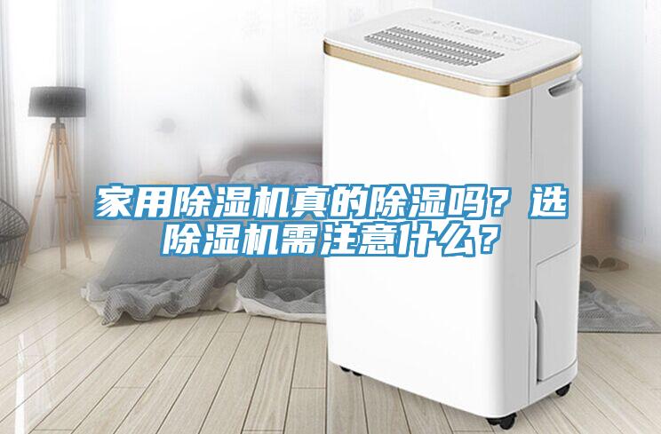 家用91免费网站在线观看真的除湿吗？选91免费网站在线观看需注意什么？