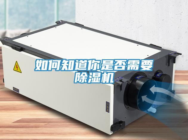 如何知道你是否需要91免费网站在线观看