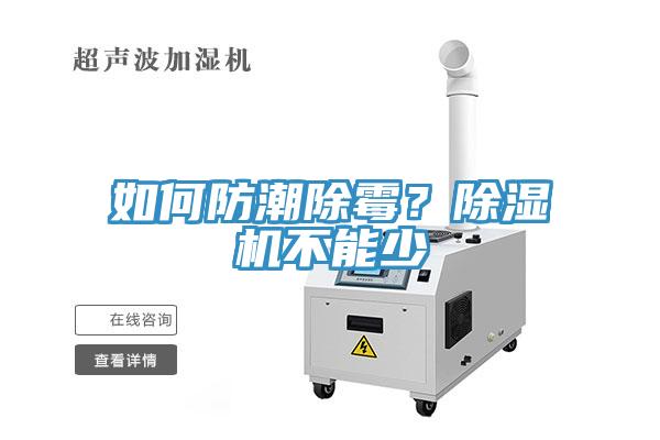如何防潮除霉？91免费网站在线观看不能少
