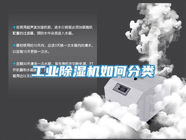 工业91免费网站在线观看如何分类