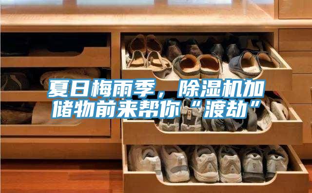 夏日梅雨季，91免费网站在线观看加储物前来帮你“渡劫”