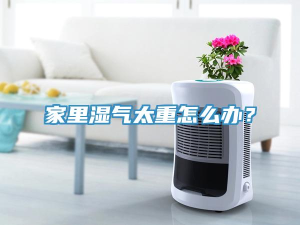 家里湿气太重怎么办？